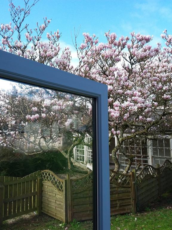 Salty Smiles Cottage Penzance Exterior foto